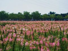 -盈香心动乐园