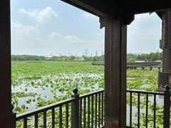 -天津东丽湖风景区