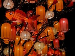 -龙湖星悦荟(颐和店)