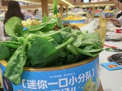 -龍歌自助小火锅(崂山丽达店)