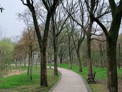 -昆山城市生态森林公园