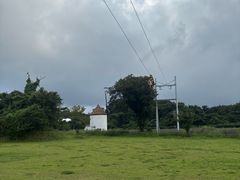 -济州森林小火车生态公园