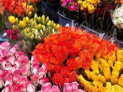 -循礼门鲜花花市(武汉循礼门店)