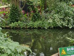 -海南热带野生动植物园