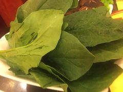 -蝎王府羊蝎子(北大地店)