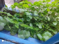 -小小河边鱼(天润城店)