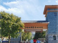 -青峰峡国家森林公园