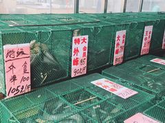 -荔城生鲜盛宴(番禺旗舰店)