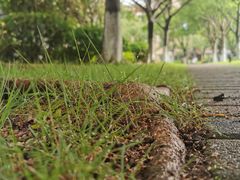 -厦门国家会计学院