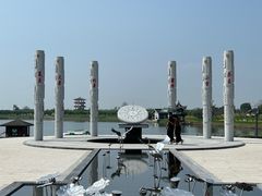 -杭州湾海上花田景区