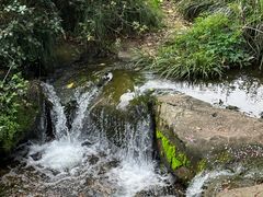 -中国茶叶博物馆(双峰馆区)