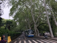 -武汉大学-樱园