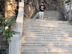 -顺峰山公园