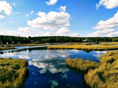 -塞罕坝国家级自然保护区