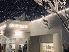 -Blue Concept Cafe&Farm·關於藍