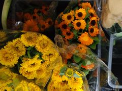 -荷兰布尔玛国际花艺学院