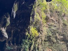 -怀托摩萤火虫洞