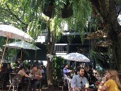 -Fern Forest Cafe