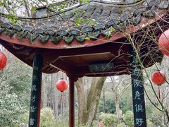 -上海醉白池公园