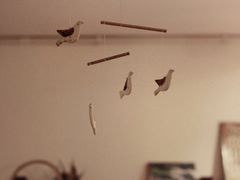 -Ginko银子(青龙街店)
