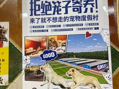 -北京佳信宠物医院