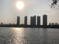 -长白岛森林公园