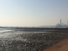 栈桥-栈桥景区