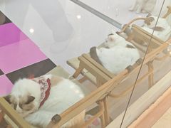 -昆山招商花园城