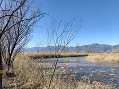 -野鸭湖国家湿地公园
