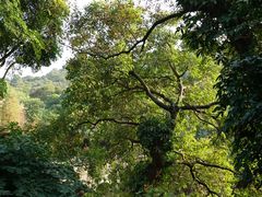 景点-云溪植物园