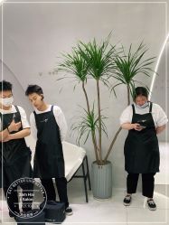 -M造型