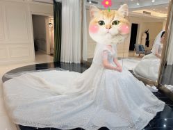 -拉瑞娜LaReine婚纱礼服高级定制