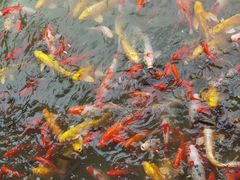 -泰安地下龙宫景区