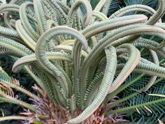 -碧桂园十里银滩