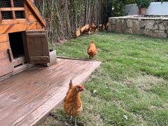 -HERRE·FARM 赫尔露营农场·团建聚会包场