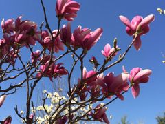 -北京小汤山医院体检中心