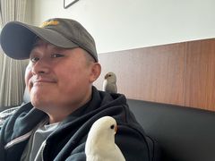 -中环花鸟鱼虫市场