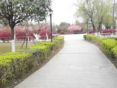 -成都中医药大学(温江校区)