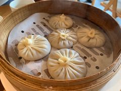 -庆春朴门