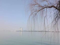 -白鹭园