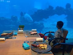 -涛·海底餐厅·美人鱼·自助餐·海底隧道(三亚海棠湾洲际度假酒店)