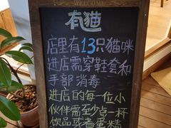 -有猫主题·治愈系猫咖(曾厝垵店)