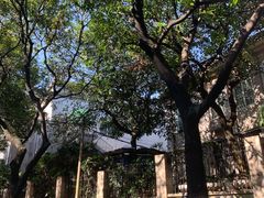 -十九路军淞沪抗日阵亡将士陵园