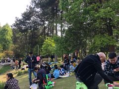 -铁山坪森林公园