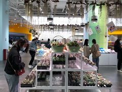 -KKV(深圳宏发大仟里店)