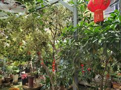 -海韵人家.海景花园经典云南菜(双廊店)