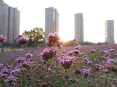 -杭州城北体育公园