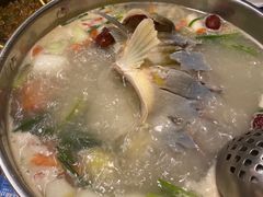 -大理老字号·舟渔的鱼野生菌海景餐厅(双廊店)