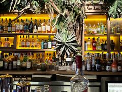 -Bar Infusion(重庆·九街店)