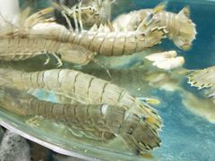 -聚德福海鲜家常菜(刘庄店)